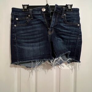 American Eagle Outfitters Navy Denim Frayed Shorts
